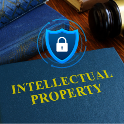 PROTECTION OF INTELLECTUAL PROPERTY – A TOOL FOR ECONOMIC DEVELOPMENT:WITH SPECIAL REFERENCE TO TRADEMARK LAWS